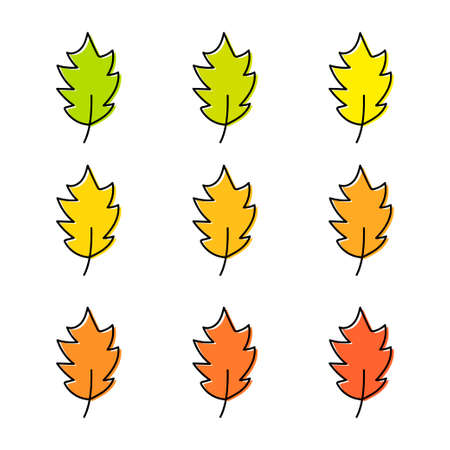 Set of autumn leaves of different trees isolated on white background. Leaves of different colors are hand-drawn. Vector illustrationのイラスト素材