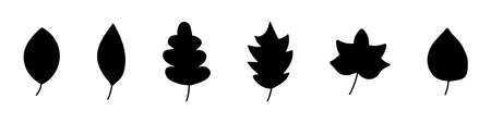 Silhouettes of leaves of different trees. Vector illustrationのイラスト素材