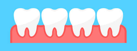 Healthy teeth set. Dentistry. Teeth in gums. Dental treatment in a dental clinic. Flat style. Vector illustrationのイラスト素材
