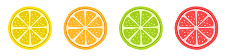 fruit slices. Pieces of citrus. Lemon, orange, lime and grapefruit. vector illustrationのイラスト素材