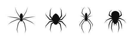 Set of spiders silhouettes. Black icons of spiders isolated on white background. vector illustrationのイラスト素材