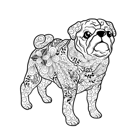 Illustration "Pug dog" was created in doodling style in black and white colors.  Painted image is isolated on white background.  It  can be used for coloring books for adult.のイラスト素材