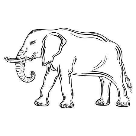 Illustration "Elephant" was created in black and white colors.  Painted image is isolated on white background.のイラスト素材