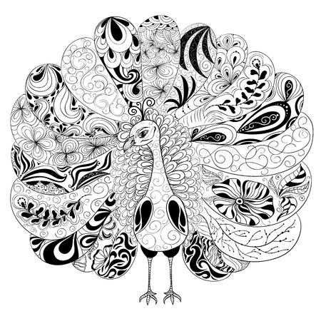 Vector illustration "Peacock" was created in doodling style in black and white colors. Painted image is isolated on white background.のイラスト素材