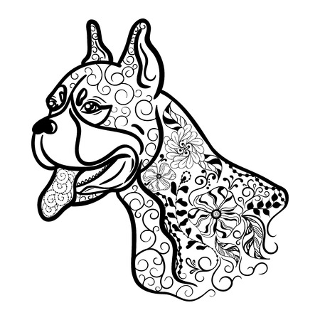 Illustration "Boxer dog head" was created in doodling style in black and white colors.  Painted image is isolated on white background.  It  can be used for coloring books for adult.のイラスト素材