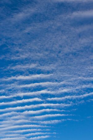 Ribbed cloud on a blue sky background. Altostratus clouds