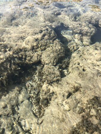 Clear sea water texture, top view of the rocky bottom. water surface backgroundの写真素材