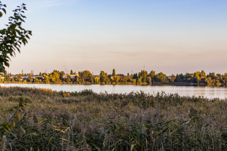 Urban lake bank during a summer evening in Kyiv Ukraineの写真素材