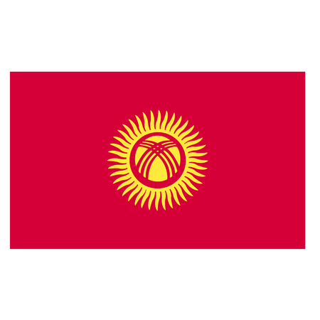 Flag of Kyrgyzstanのイラスト素材