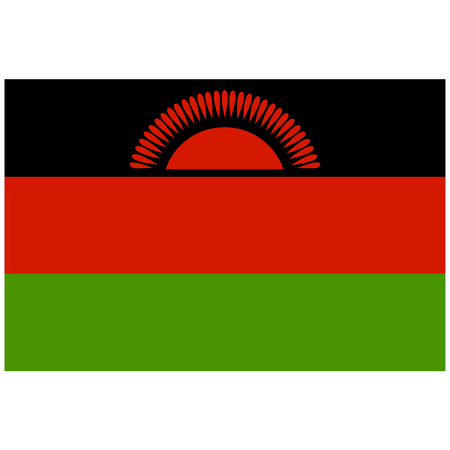Flag of Malawiのイラスト素材
