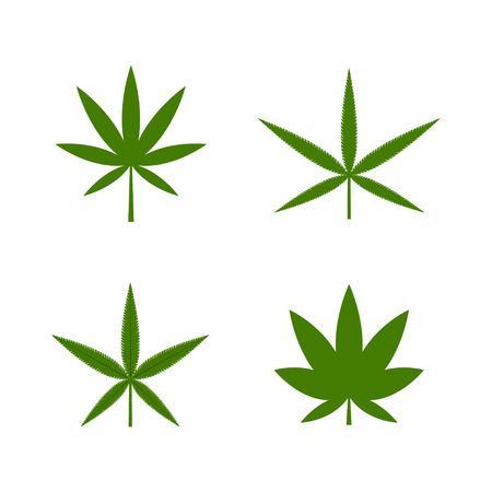 Green cannabis leaf on the white bakground. Herbal cannabis. Hemp leaf symbol. Vector illustrationのイラスト素材