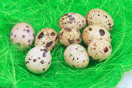An image of small spotted quail eggs on green nestの写真素材