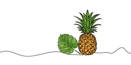Pineapple continuous one line drawing of outline vector illustration. Drawn from the hand a picture of the silhouette. Line art. Tropical fruit pineappleのイラスト素材