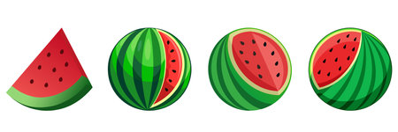 Set of watermelon fruit vector elementsのイラスト素材