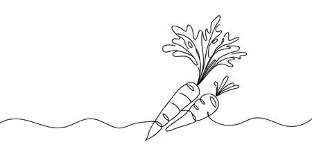 Carrot vegetable in continuous line art drawing style. Growing carrot plant minimalist black linear sketch isolated on white background. Vector illustration.のイラスト素材