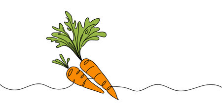 Carrot vegetable in continuous line art drawing style. Growing carrot plant minimalist black linear sketch isolated on white background. Vector illustration.のイラスト素材
