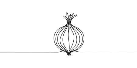 Continuous one line drawing of fresh organic onionのイラスト素材
