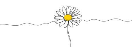 Daisy flower in continuous line art drawing style. Chamomile One line drawing art. Hand drawing Editable stroke Vector illustration.のイラスト素材