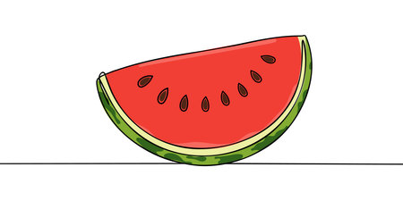 Watermelon one continuous line design. Fruits symbol design concept. Decorative elements drawn on a white backgroundのイラスト素材