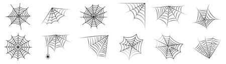 Spider web line art vector eps.のイラスト素材