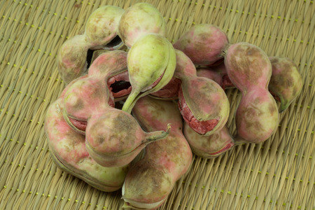 Manila tamarindの写真素材