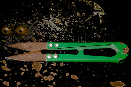 Thread cutting scissors