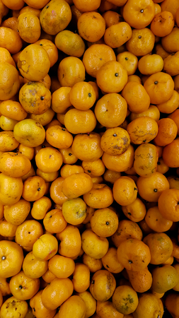 orange in the marketの写真素材