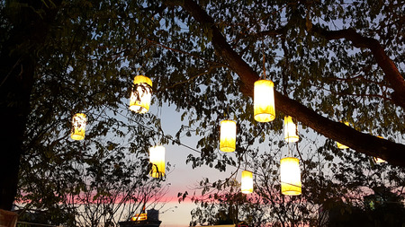 light of  paper lantern decorating on tree at nightの写真素材