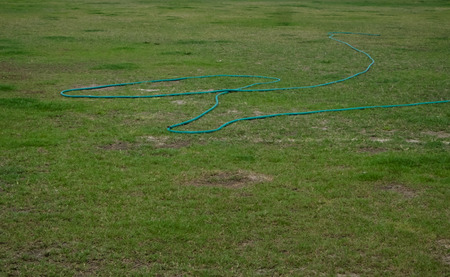 Curled rubber garden hose laying on grass Stretched across lawnの写真素材