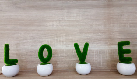 The tree in the pot reads love.の写真素材