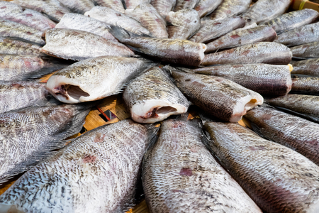 Gourami fish preservesの写真素材