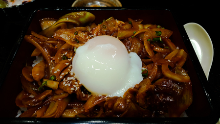 rice with slice pork and egg butadonの写真素材