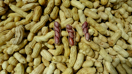 Dried peanuts in closeup on the white background