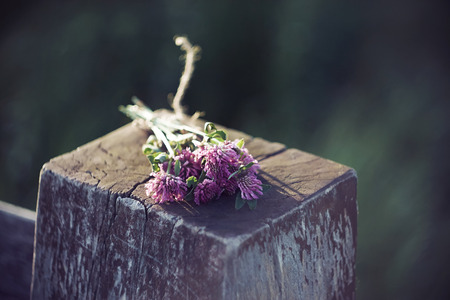 A small beautiful bouquet, collected from the flowers of pink clover, lies forgotten on an old post made of cracked logの写真素材
