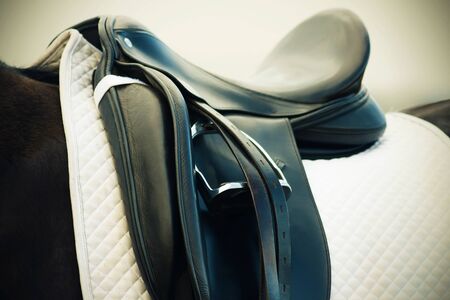 Elegant black leather saddle with white upholstered saddlecloth and metal stirrup on the back of a bay horse.の写真素材