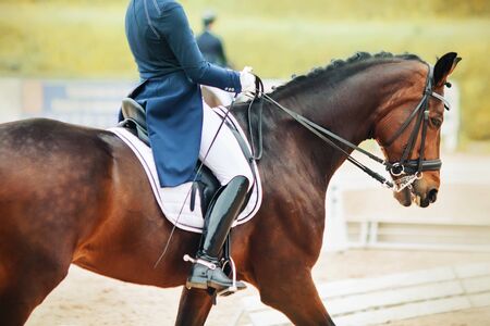 A beautiful Bay horse with spots on its rump and a rider in the saddle, who is dressed in a blue suit with patent leather boots, participate in dressage competitionsの写真素材