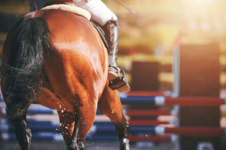 A rear view of a bay horse galloping across a sandy arena, about to jump over a high barrier. Equestrian competitions.の写真素材
