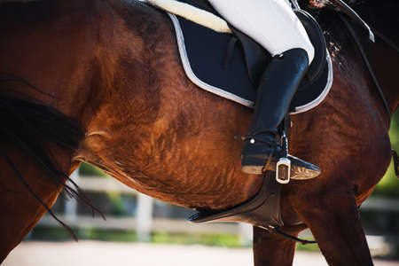 A rider sits in the saddle on a chestnut sports racehorse. The horse gallops quickly, illuminated by...