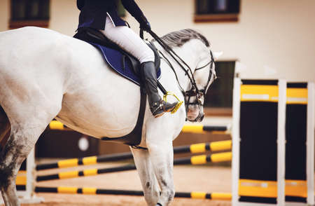On a white horse that gallops to the yellow barrier, a rider sits in the saddle. Equestrian...