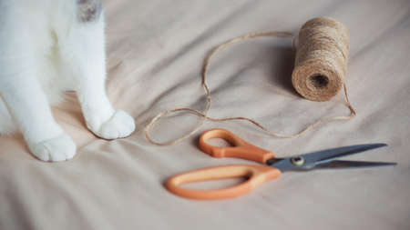 On the soft light fabric are items for sewing - rough hemp rope and modern scissors, and next to it...