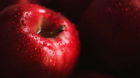 A ripe red delicious sweet Apple is covered with clear drops of water and lies in the darkness,...