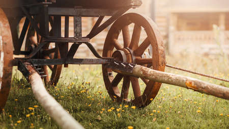 An old wooden cart with large wheels stands in a meadow with blooming yellow flowers, near rural...