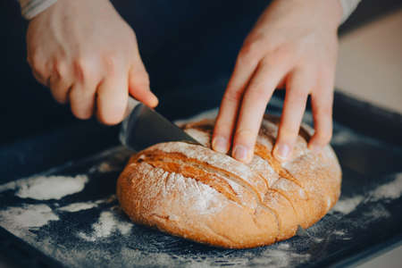 A man cuts fresh round wheat bread lying on a baking sheet into slices with a sharp knife. Home cooking and baking.の写真素材