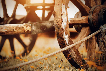 An old wooden cart stands in the village on a dandelion field, illuminated by warm sunlight. The peasantry and the harvest. Agricultural industry. Historical transport.の写真素材