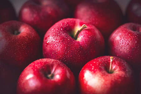 Large scarlet delicious ripe apples are covered with drops of water. Harvest of healthy fruits. Proper nutrition and diet. Vegetarianism.の写真素材