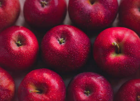 Top view of large wet ripe scarlet apples. A rich harvest of delicious healthy fruits. Proper nutrition. Diet and vegetarianism.の写真素材