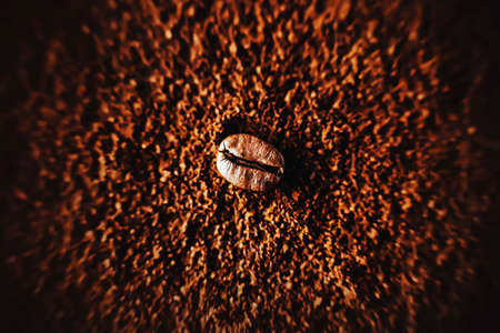 One roasted coffee bean, illuminated by light, lies on a crumbly ground coffee, which will make a strong invigorating drink.の写真素材
