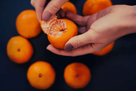 A woman holds a ripe delicious tangerine in her hands and peels it from the peel, against the background of a table on which there are several more tangerines. Citrus harvest. Fruits for Christmas.の写真素材