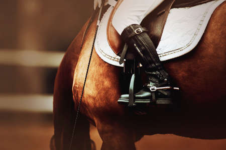 The rider is sitting in the saddle on a bay horse that has bowed its head. Horse ammunition. horse riding. Equestrian sports.の写真素材