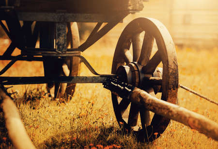 Rural life. In a clearing overgrown with weeds there is an old cart for harvesting. Vintage transport in the village.の写真素材